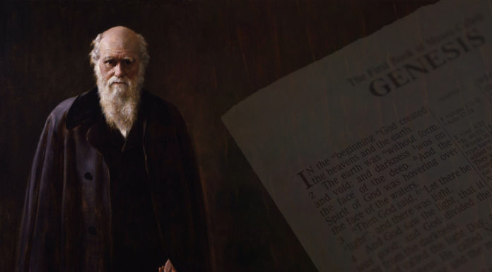 Churches That Accept Evolution Do So At Their Own Peril